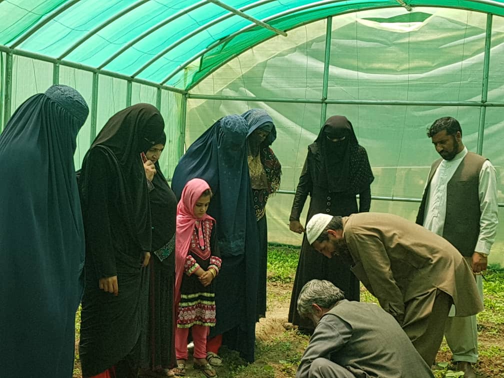 به ۵۰۰ خانم در نورستان زمینه‌ی کار فراهم شد