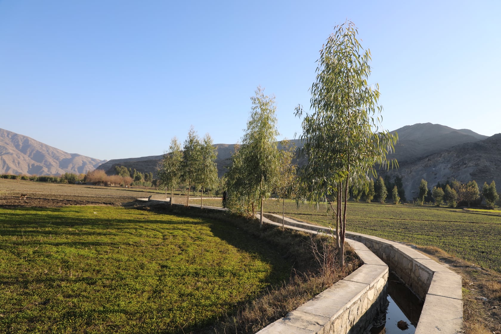 Irrigation canals built by the  Ministry of Agriculture in Nangarhar narrated by picture.