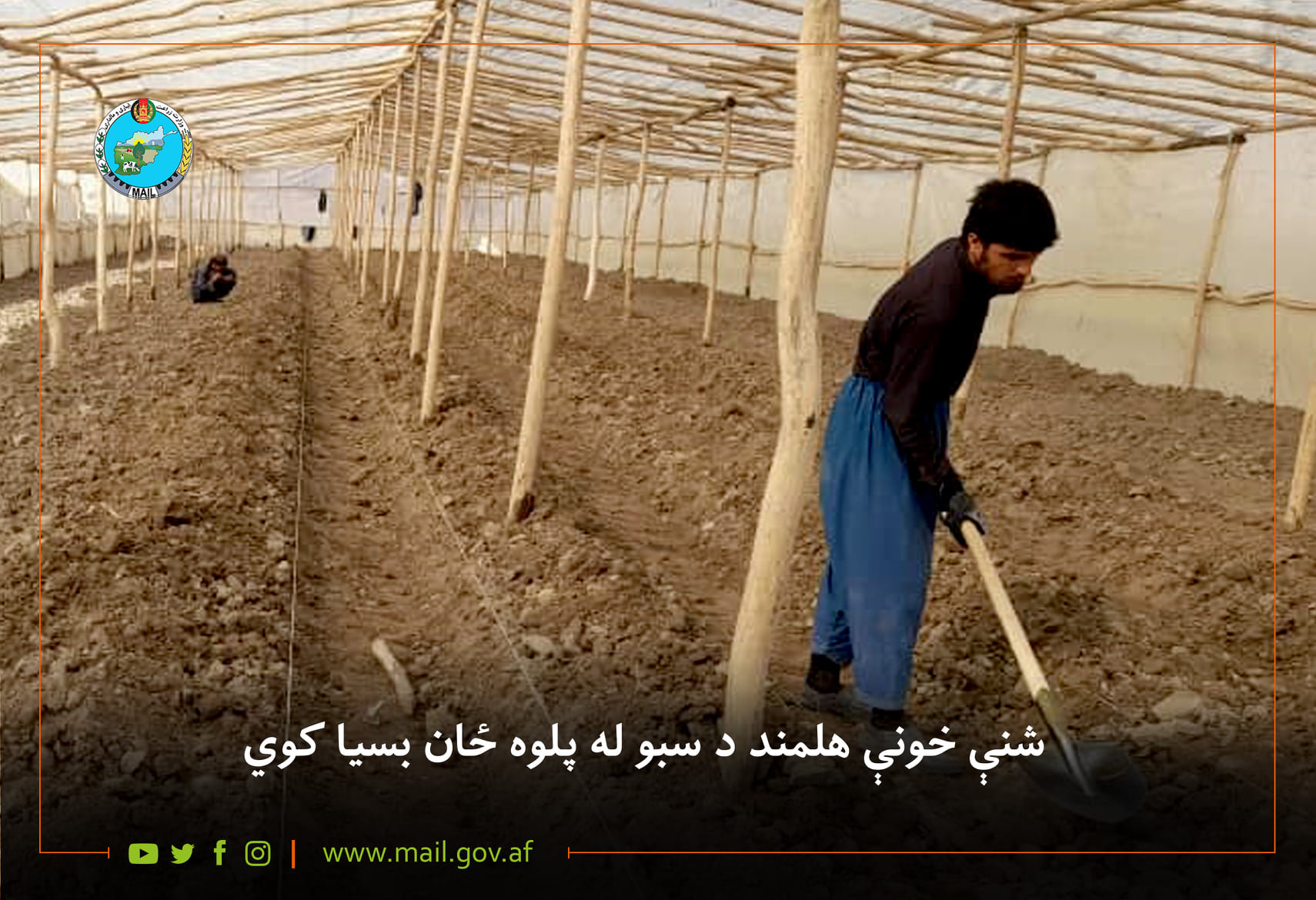 شنې خونې هلمند د سبو له پلوه ځان بسیا کوي