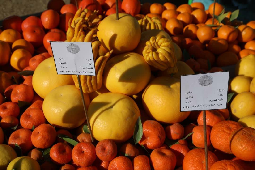 Domestic products in Nangarhar agricultural exhibition