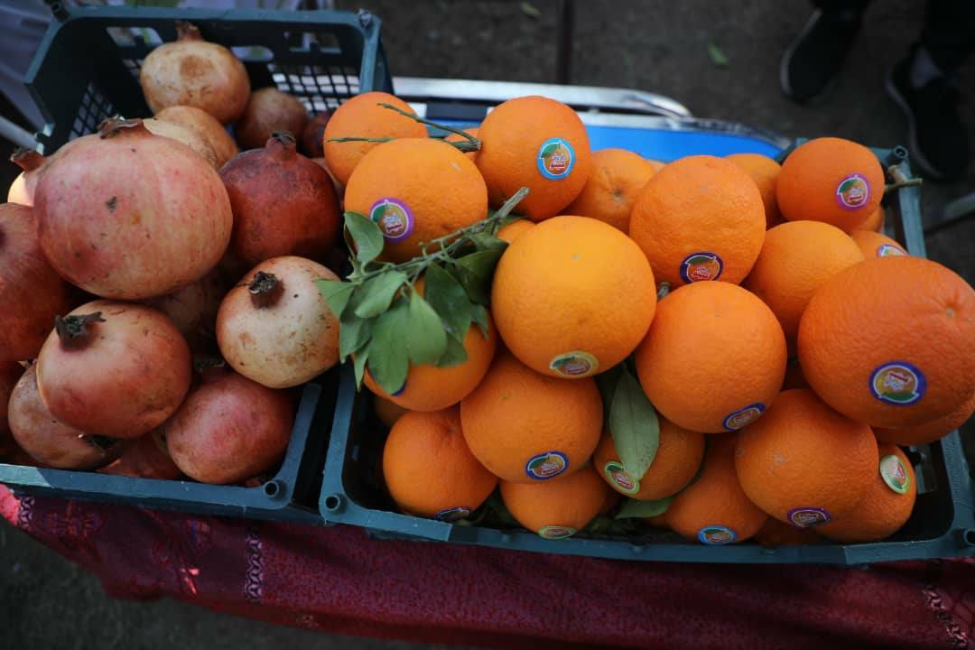 Domestic products in Nangarhar agricultural exhibition