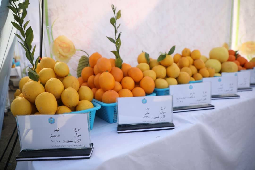 Domestic products in Nangarhar agricultural exhibition