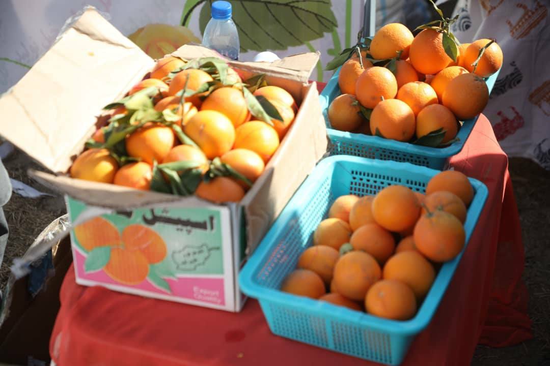 Domestic products in Nangarhar agricultural exhibition