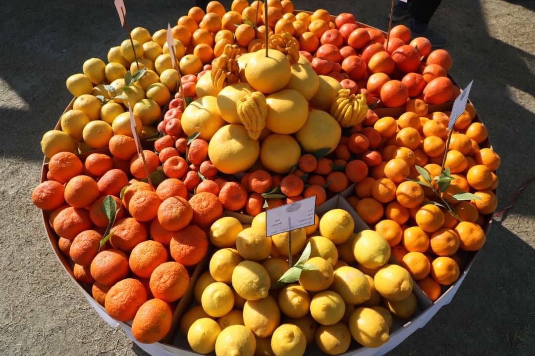 Domestic products in Nangarhar agricultural exhibition