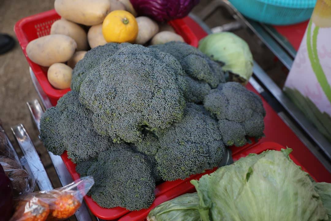 Domestic products in Nangarhar agricultural exhibition