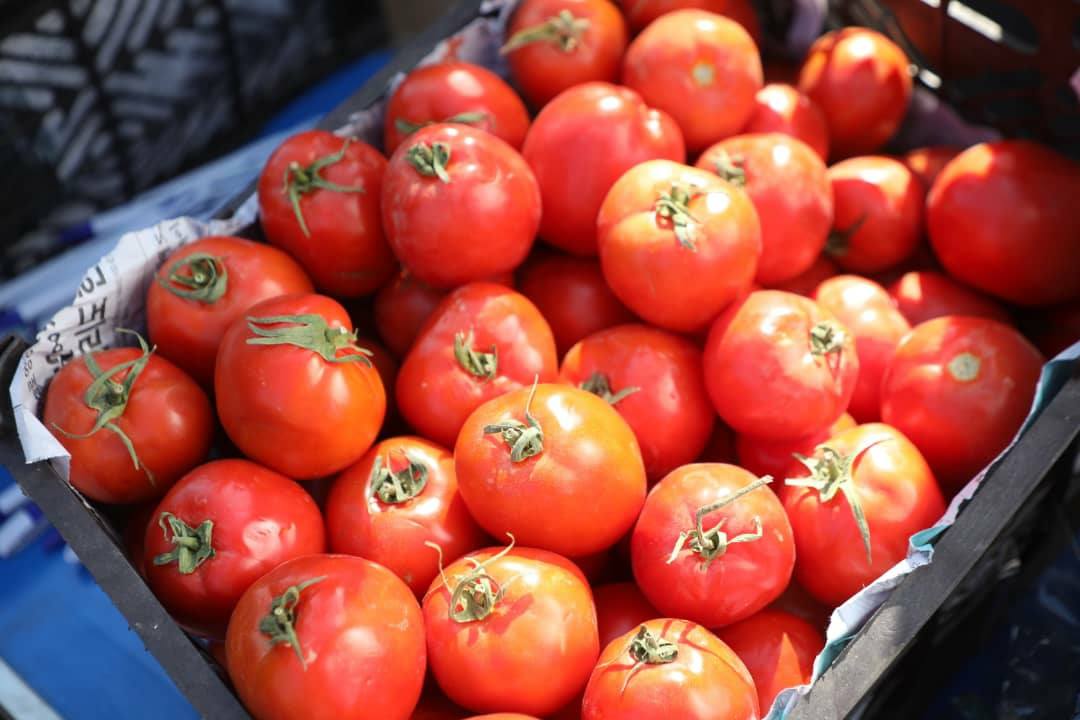 Domestic products in Nangarhar agricultural exhibition