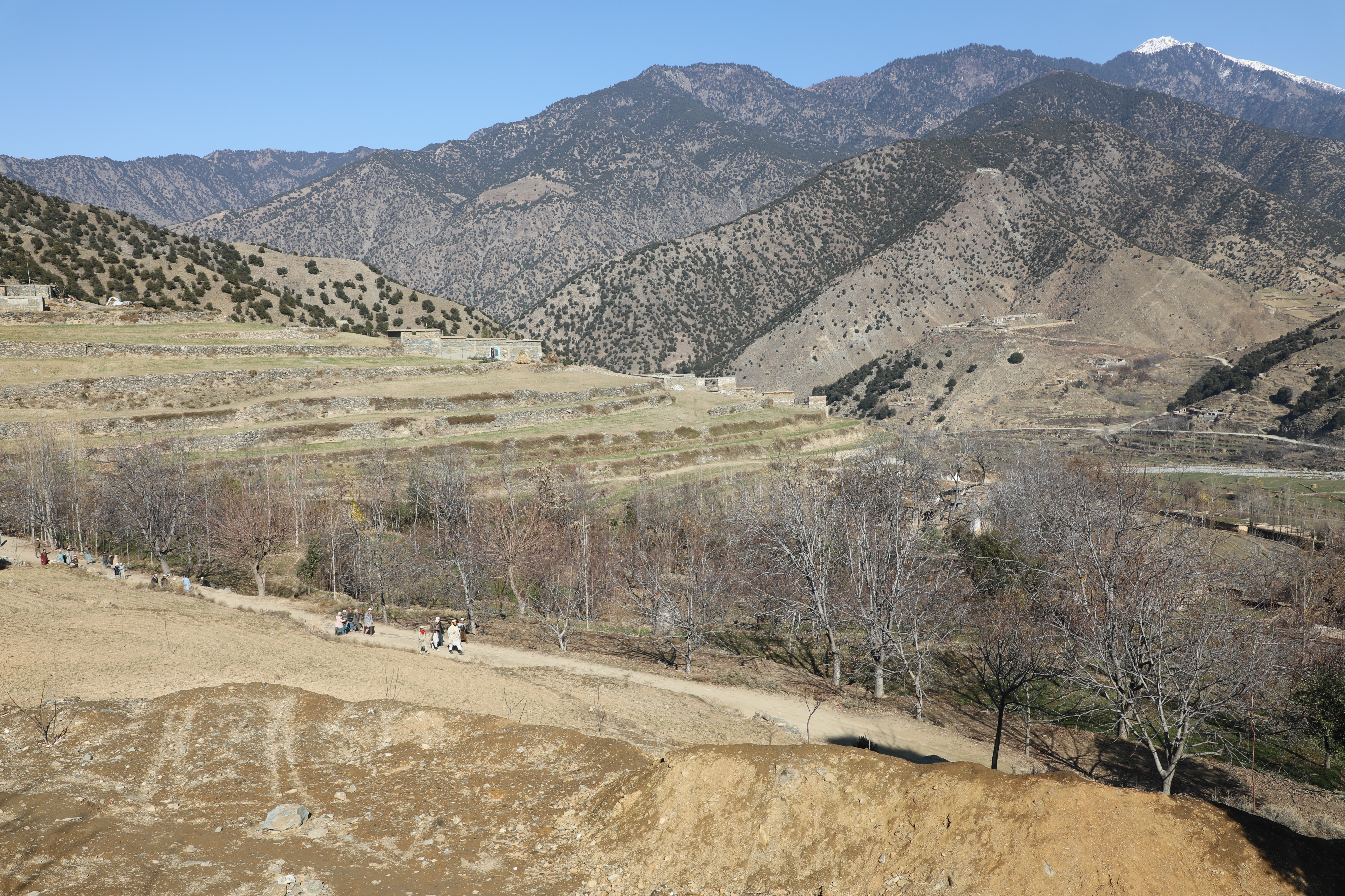 The forests of Kunar province narrated by picture.