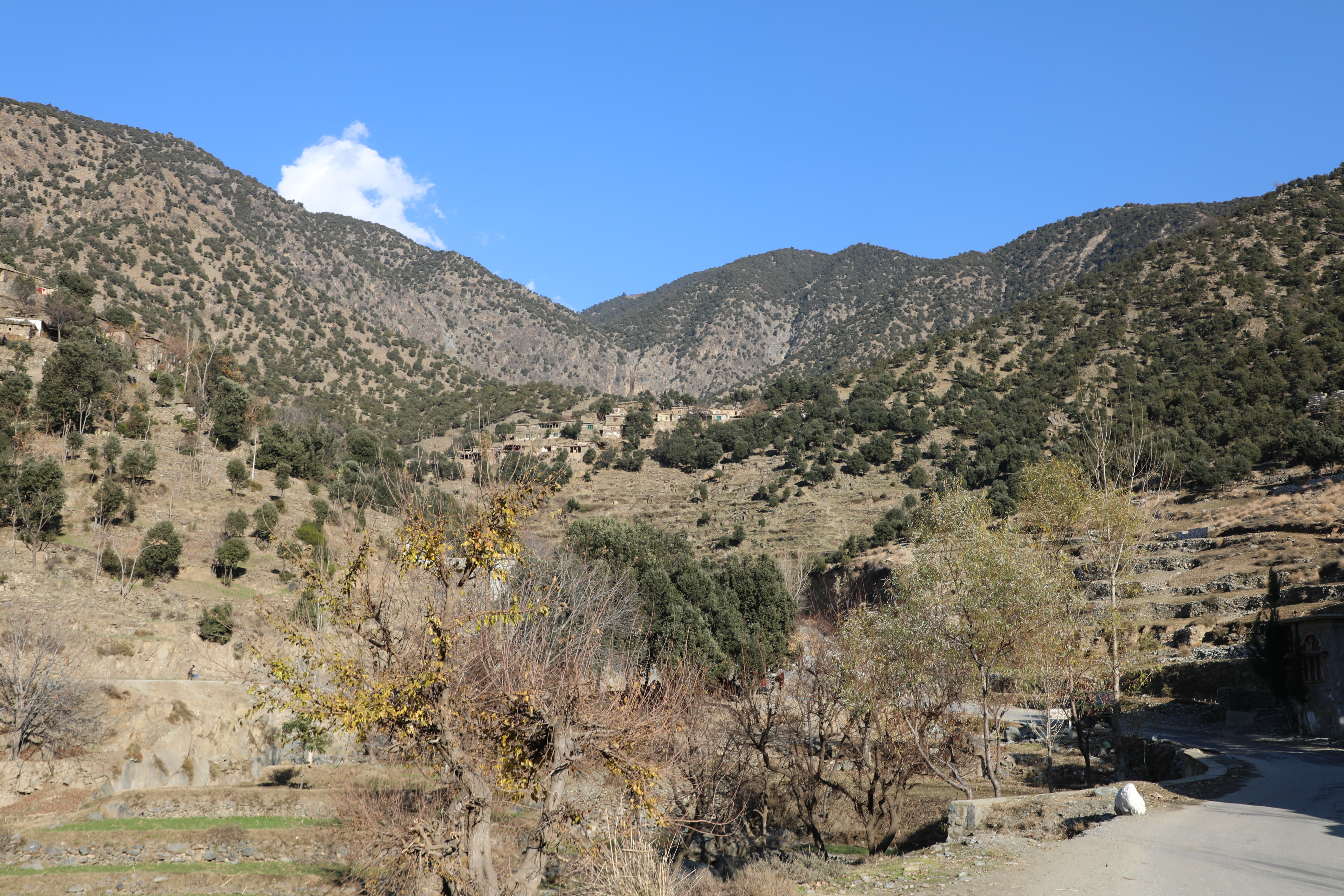 The forests of Kunar province narrated by picture.