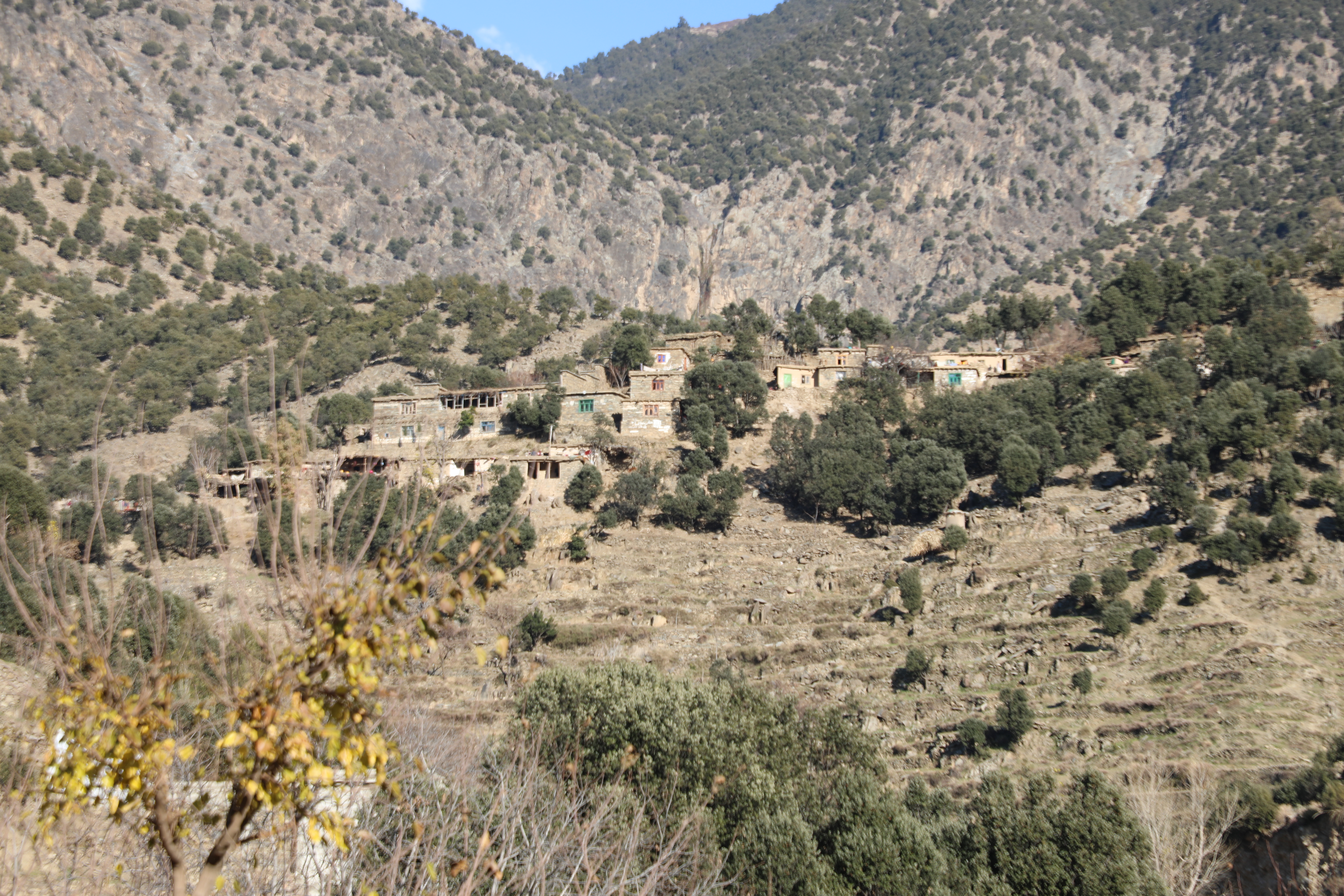 The forests of Kunar province narrated by picture.