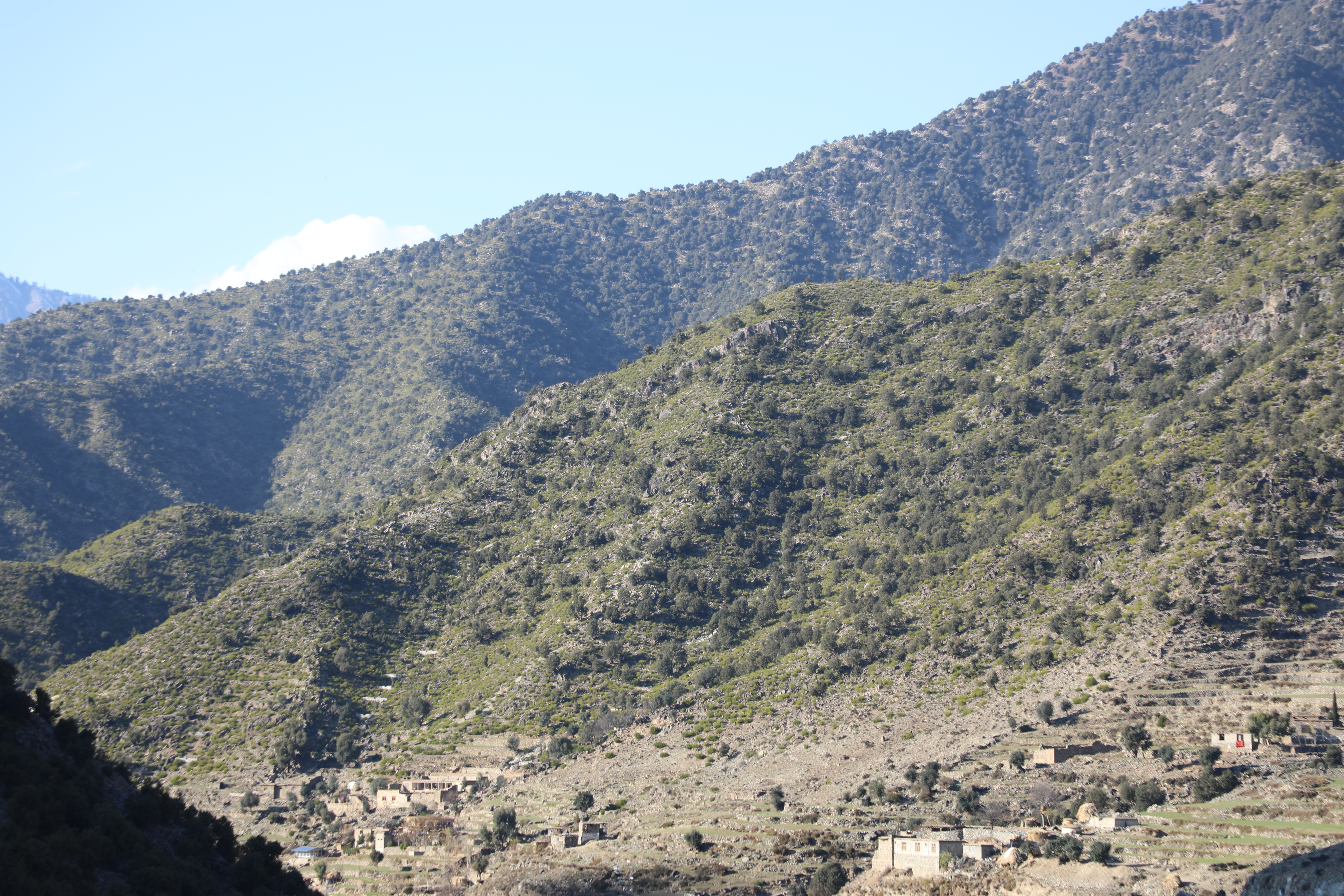 The forests of Kunar province narrated by picture.