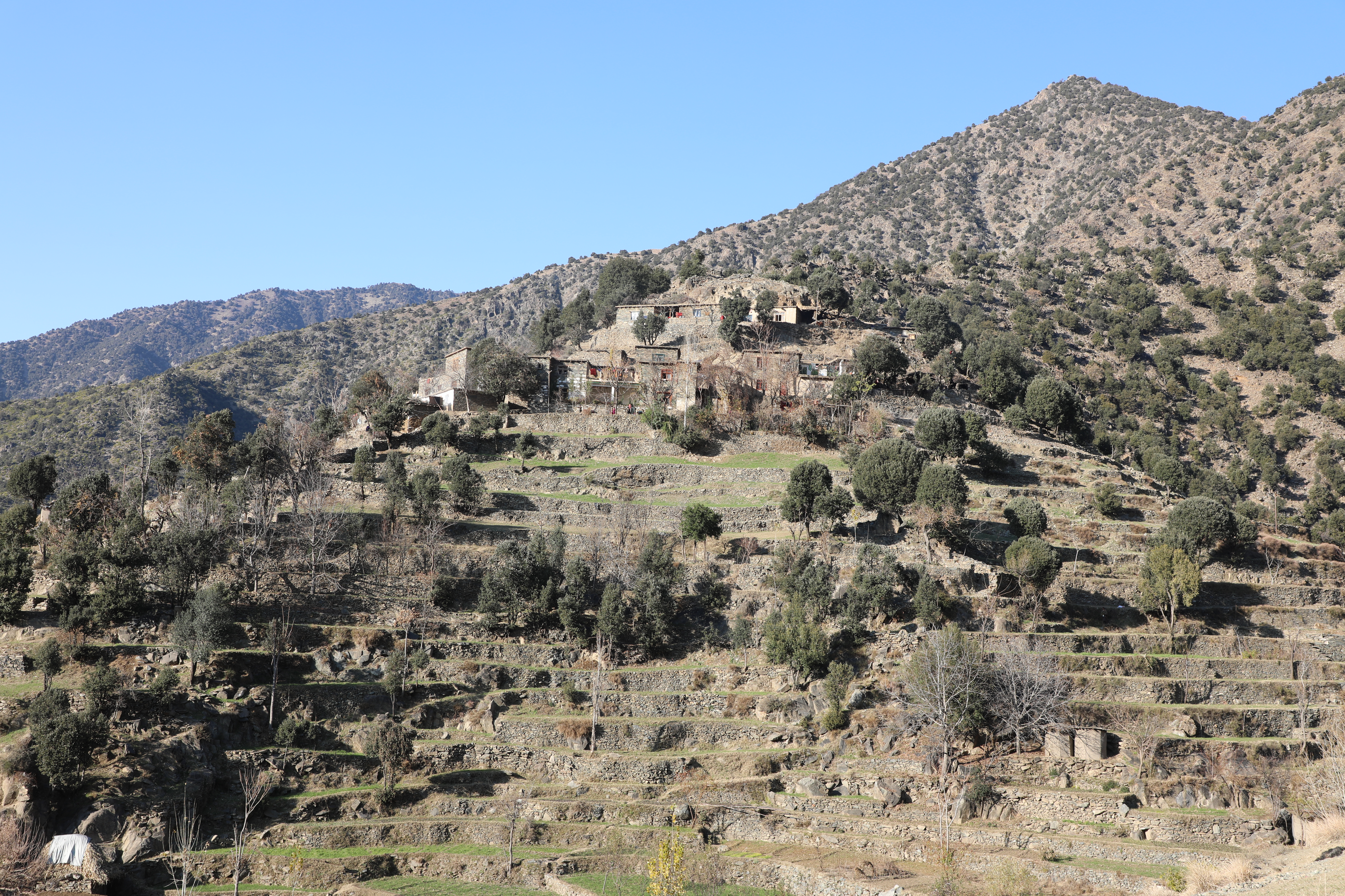 The forests of Kunar province narrated by picture.