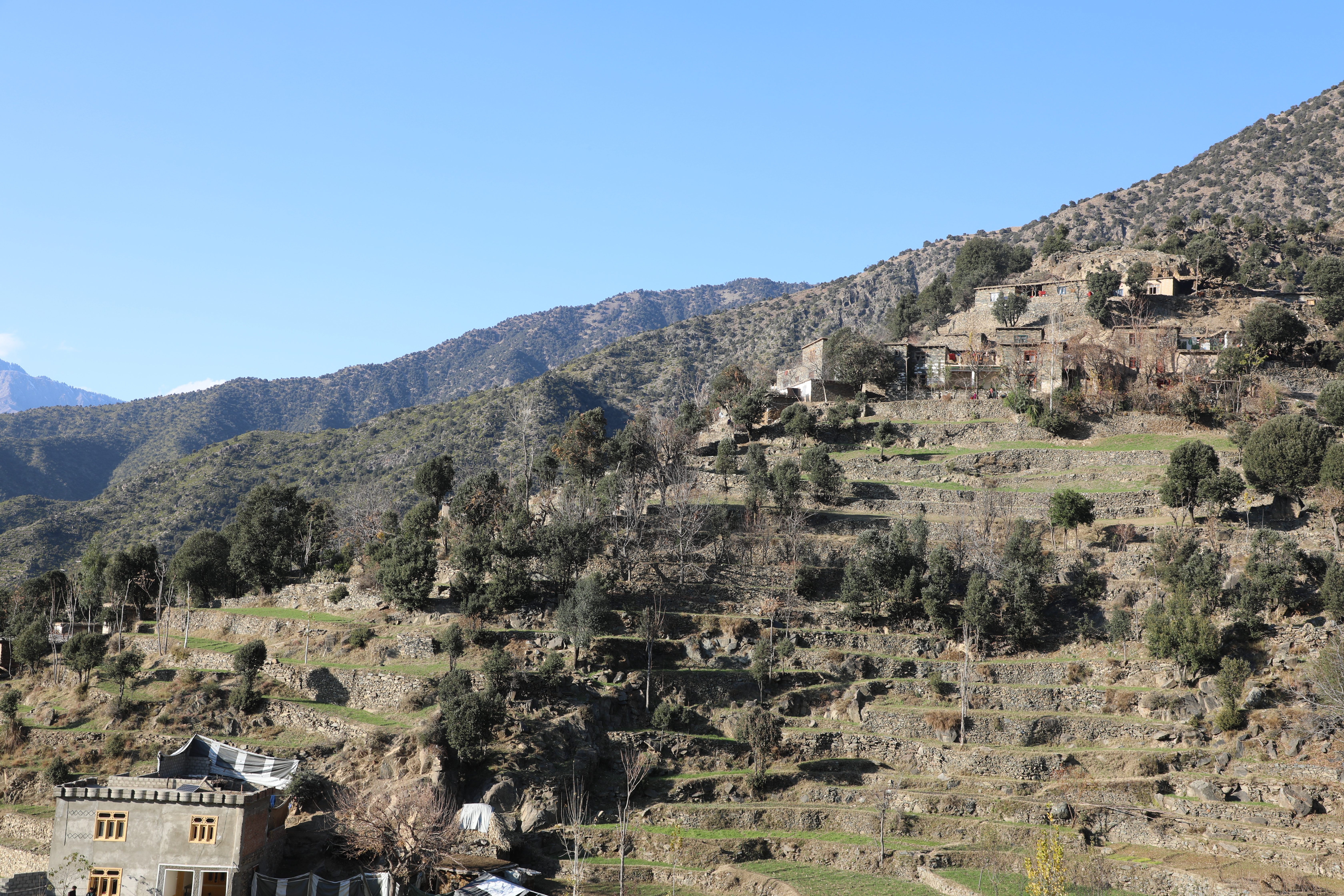 The forests of Kunar province narrated by picture.