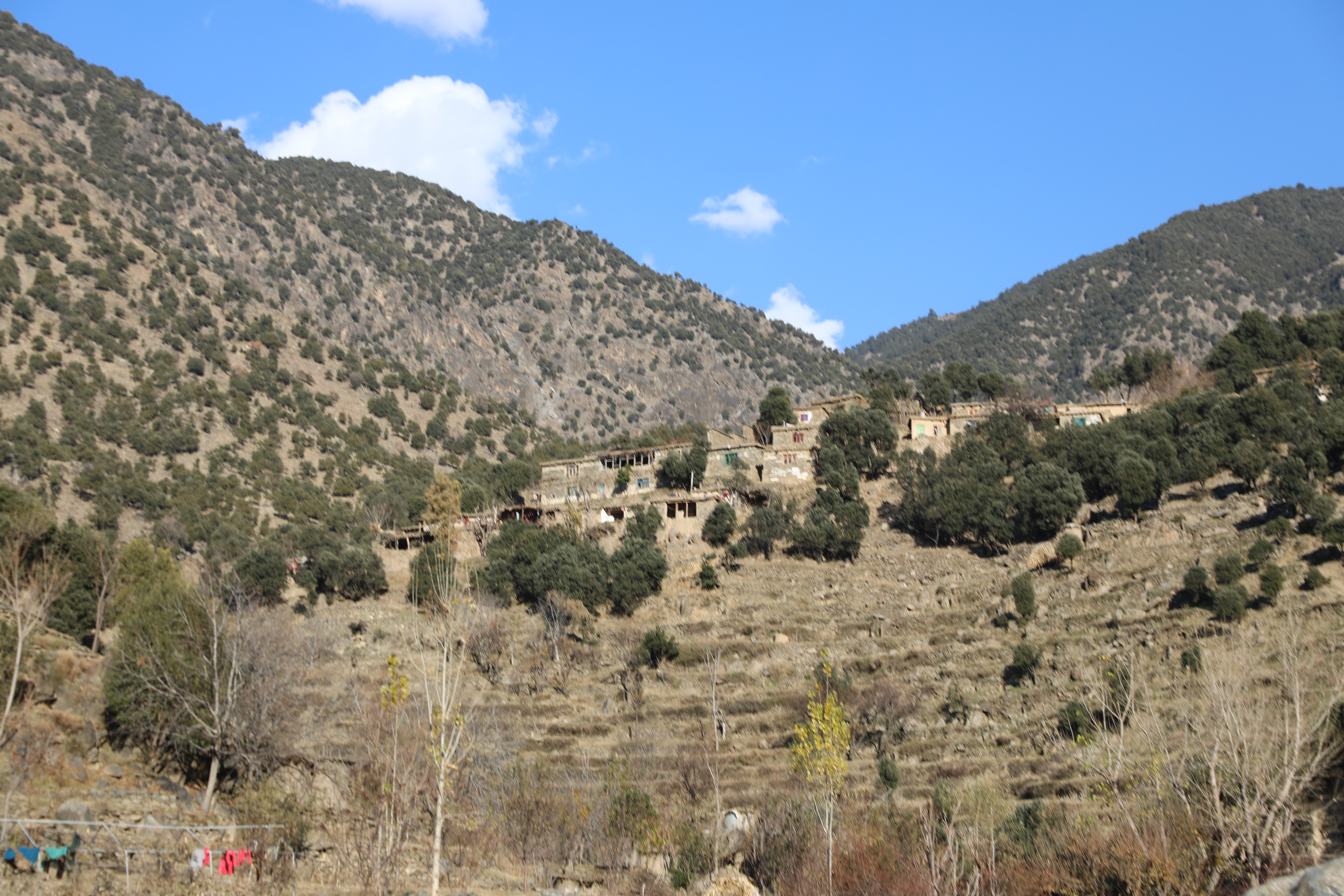 The forests of Kunar province narrated by picture.