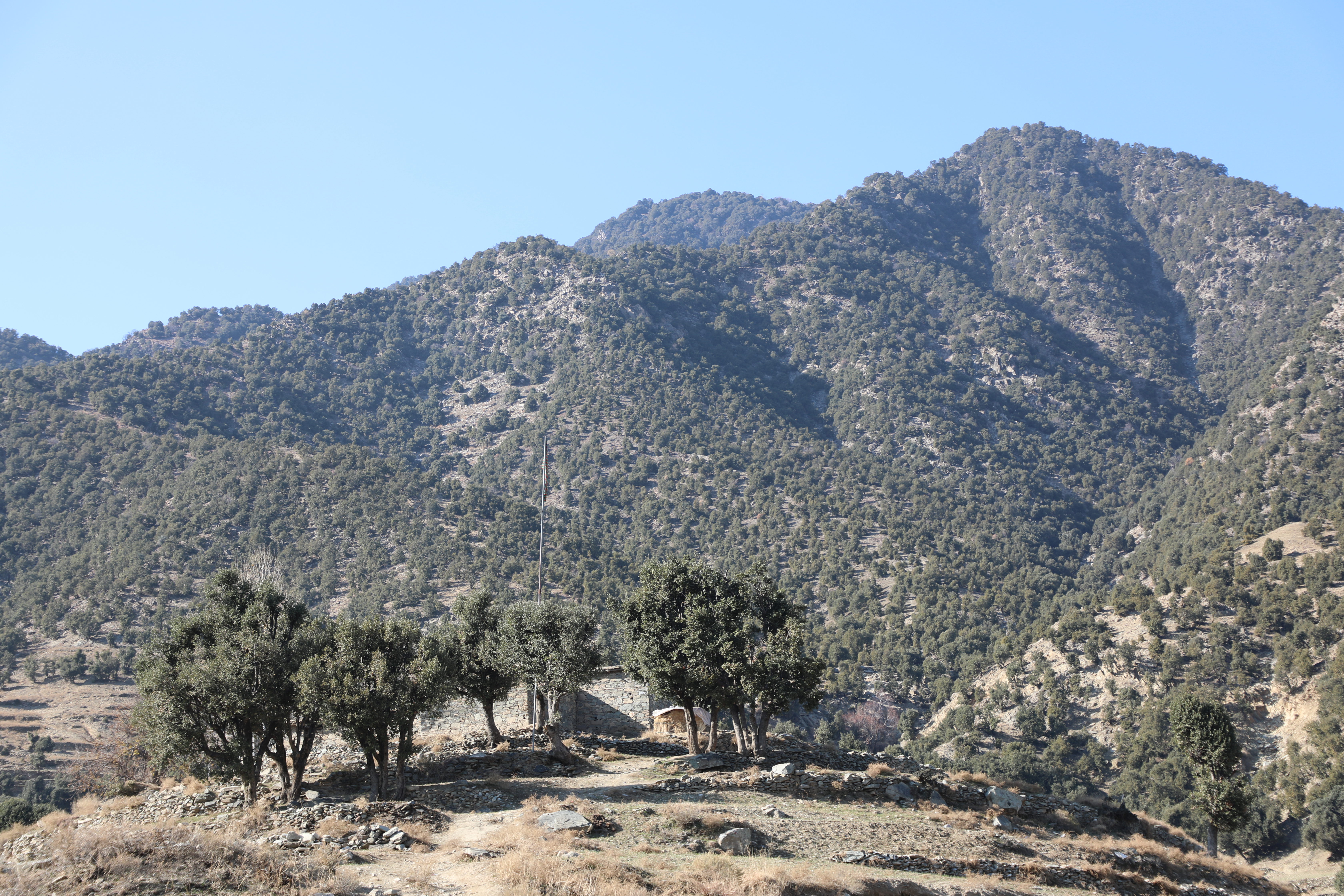 The forests of Kunar province narrated by picture.