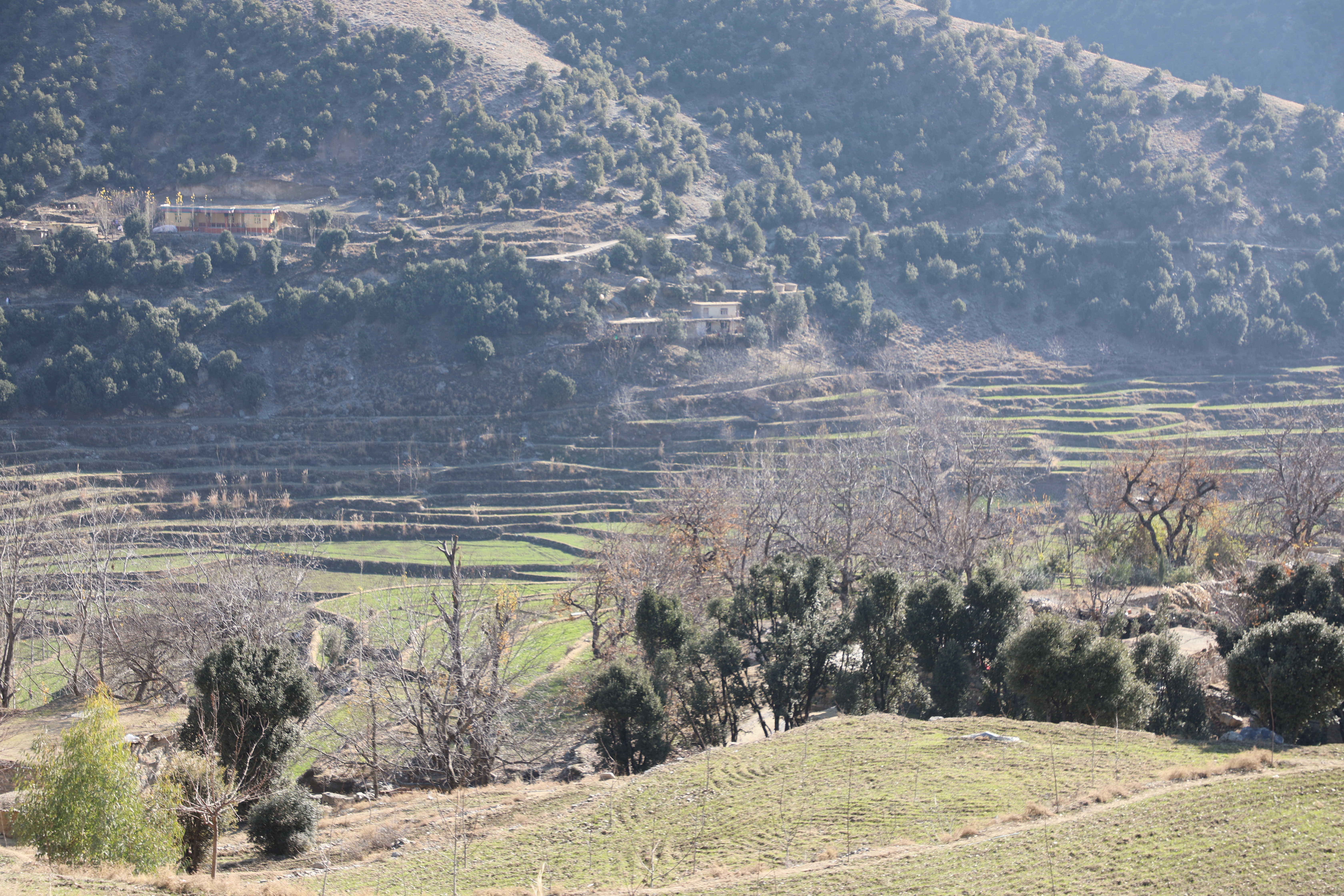 The forests of Kunar province narrated by picture.