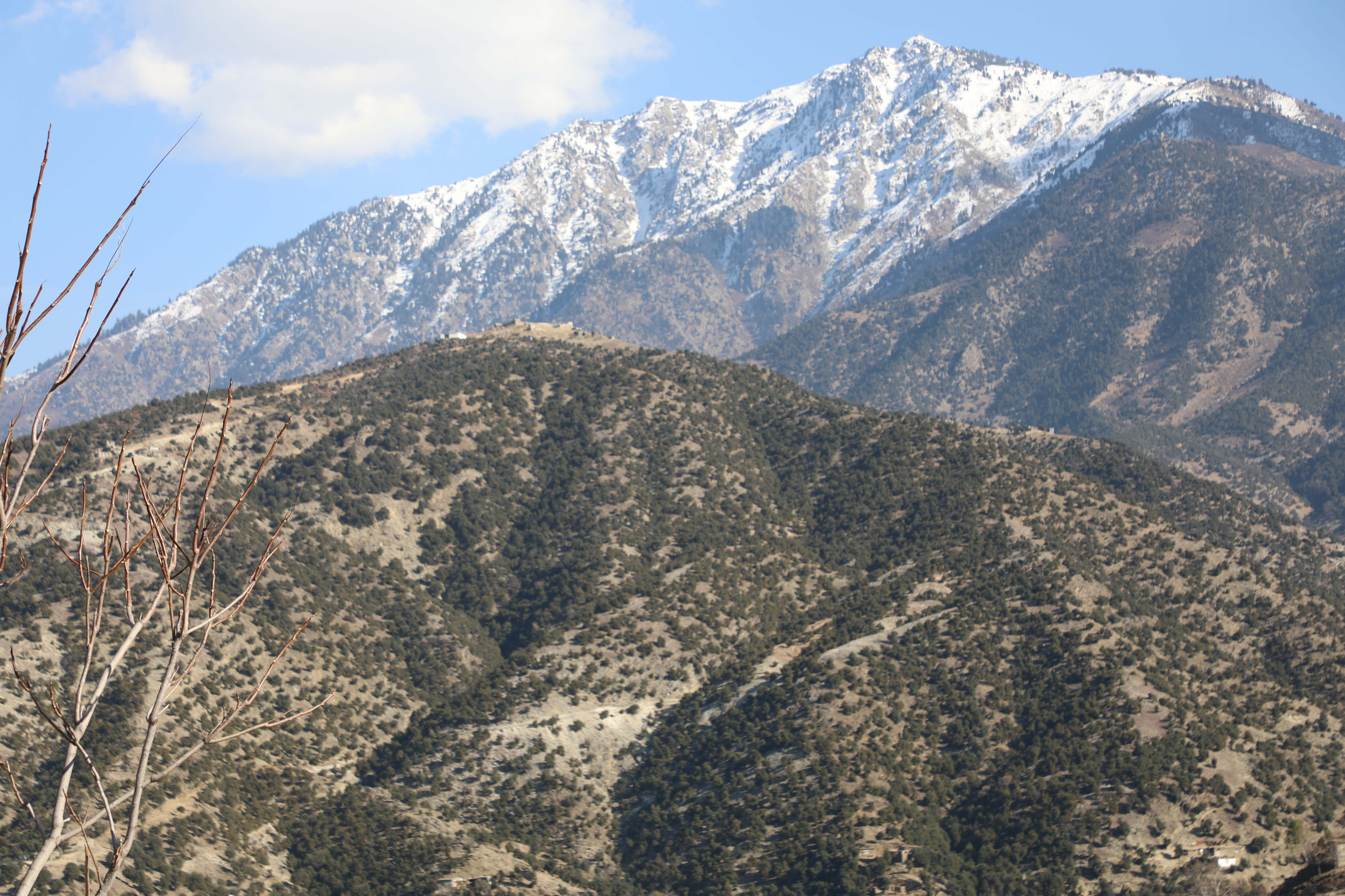 The forests of Kunar province narrated by picture.