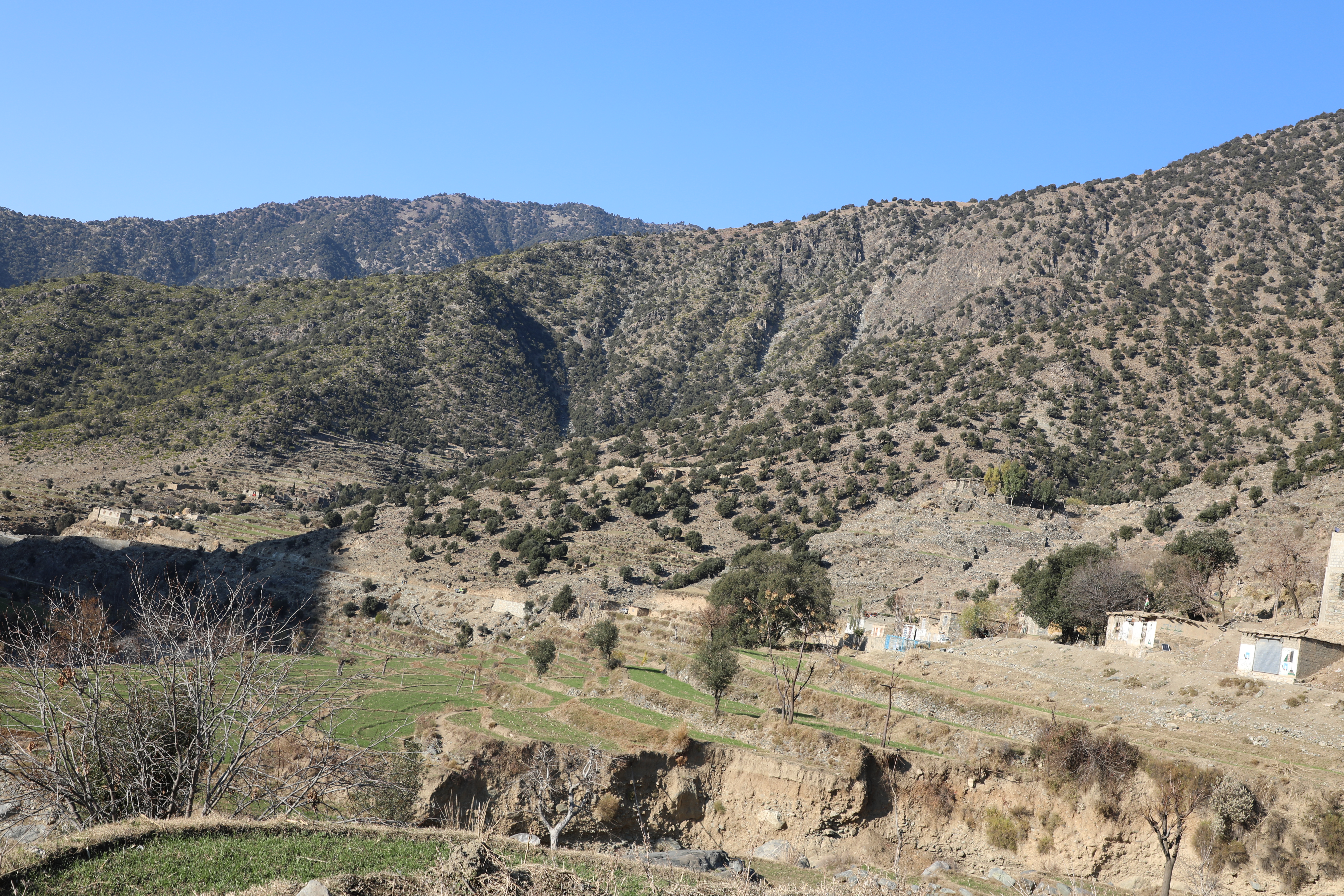 The forests of Kunar province narrated by picture.