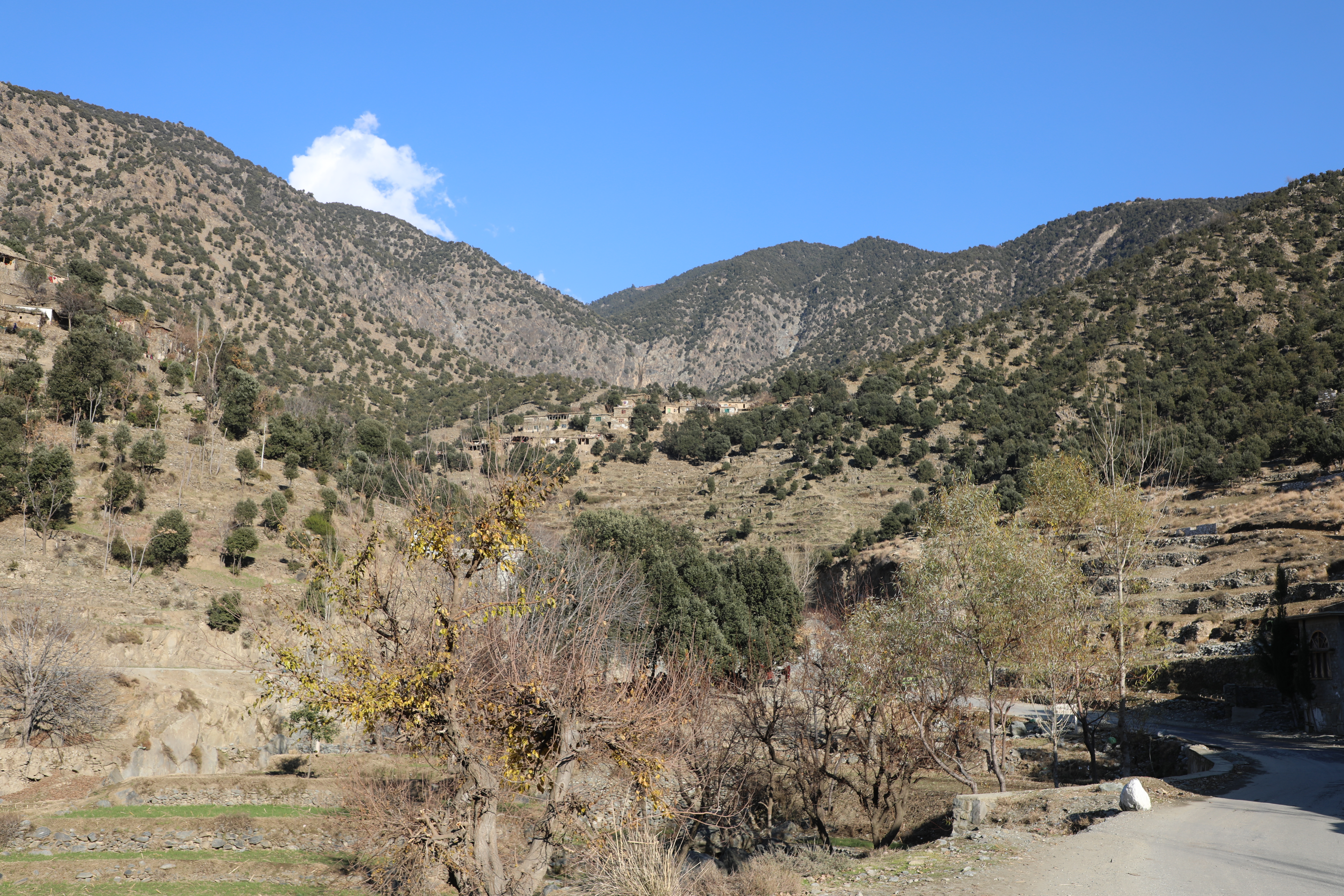 The forests of Kunar province narrated by picture.