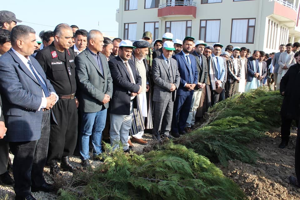 Five Thousand and 500 Saplings plant in Sar-e-pol