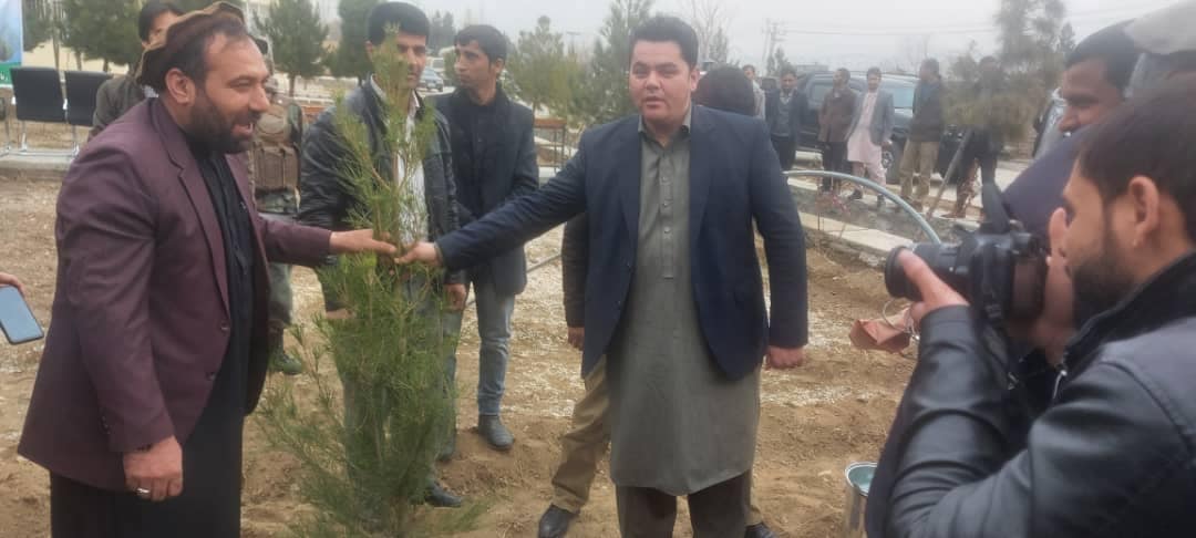 Starting of planting campaign in Parwan