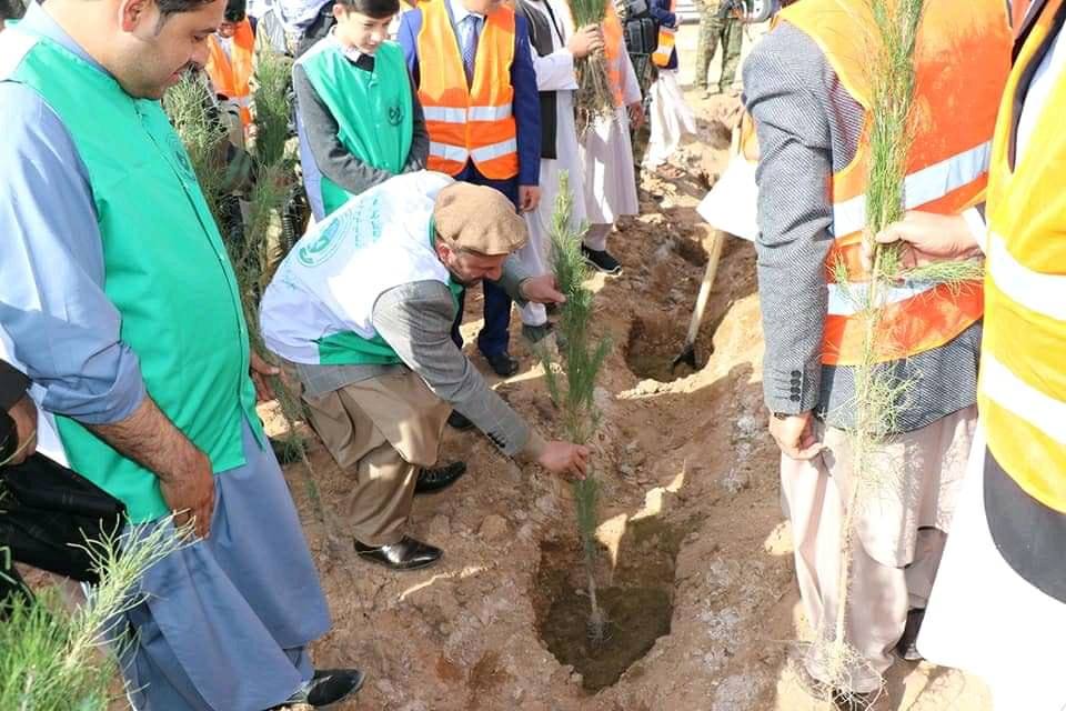 Spring Planting Campaign Begins in Farah