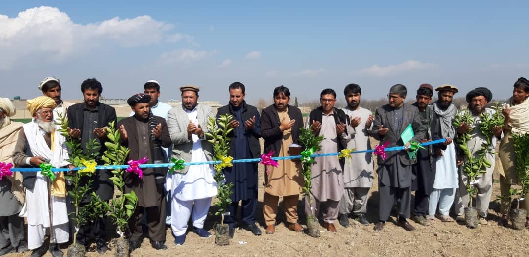 Construction Work on 81 Acres of Condensed Gardens Begins in Khost