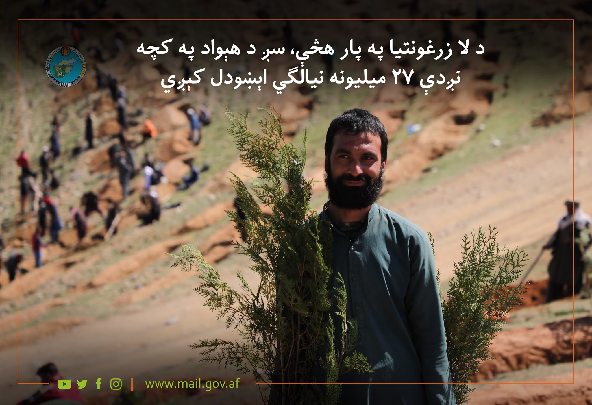 د لا زرغونتیا په پار هڅې، سږ د هېواد په کچه نږدې ۲۷ میلیونه نیالګي اېښودل کېږي