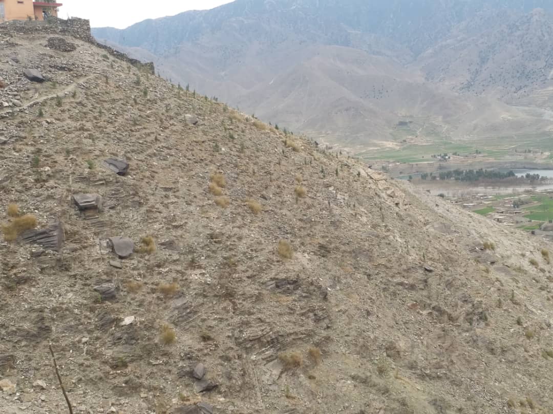 کونړ کې د چغان غونډۍ د زرغونتیا په پار هڅې