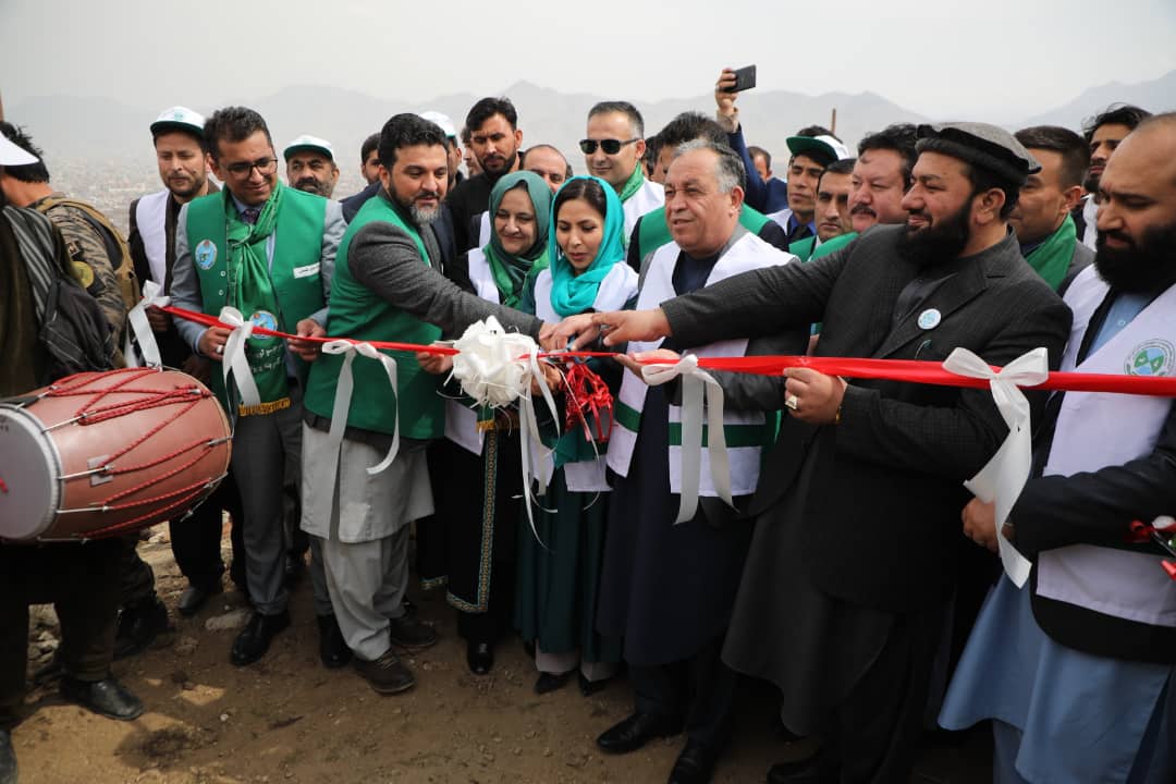 National Tree Plantation Campaign Kicks off Officially