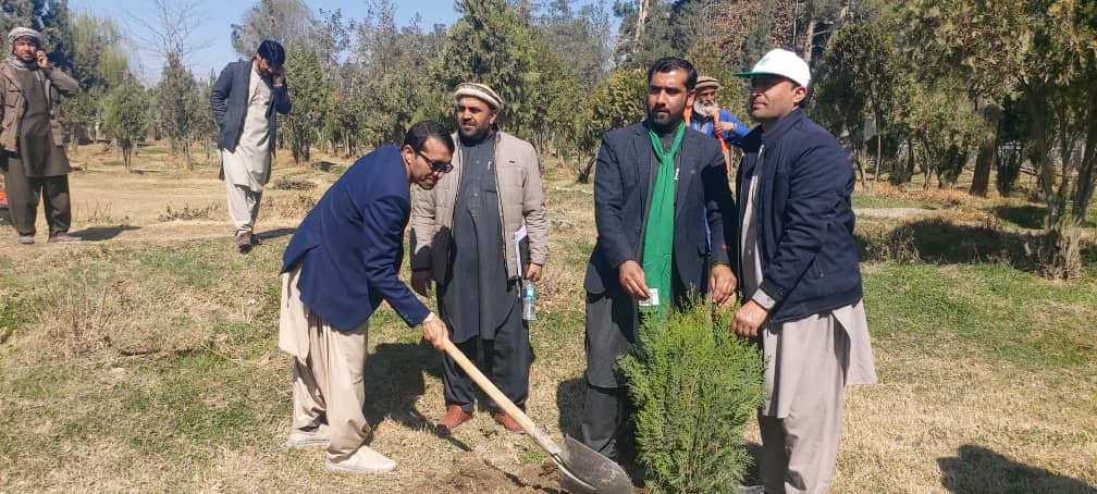 بغلان کې څه باندې یو میلیون نیالګي اېښودو ته چمتو دي