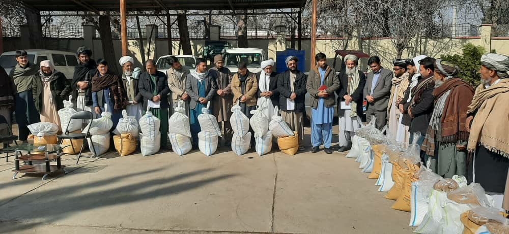 Introducing New Plants and Constructing 26 Demonstration Farms of Tilly Plants in Badghis