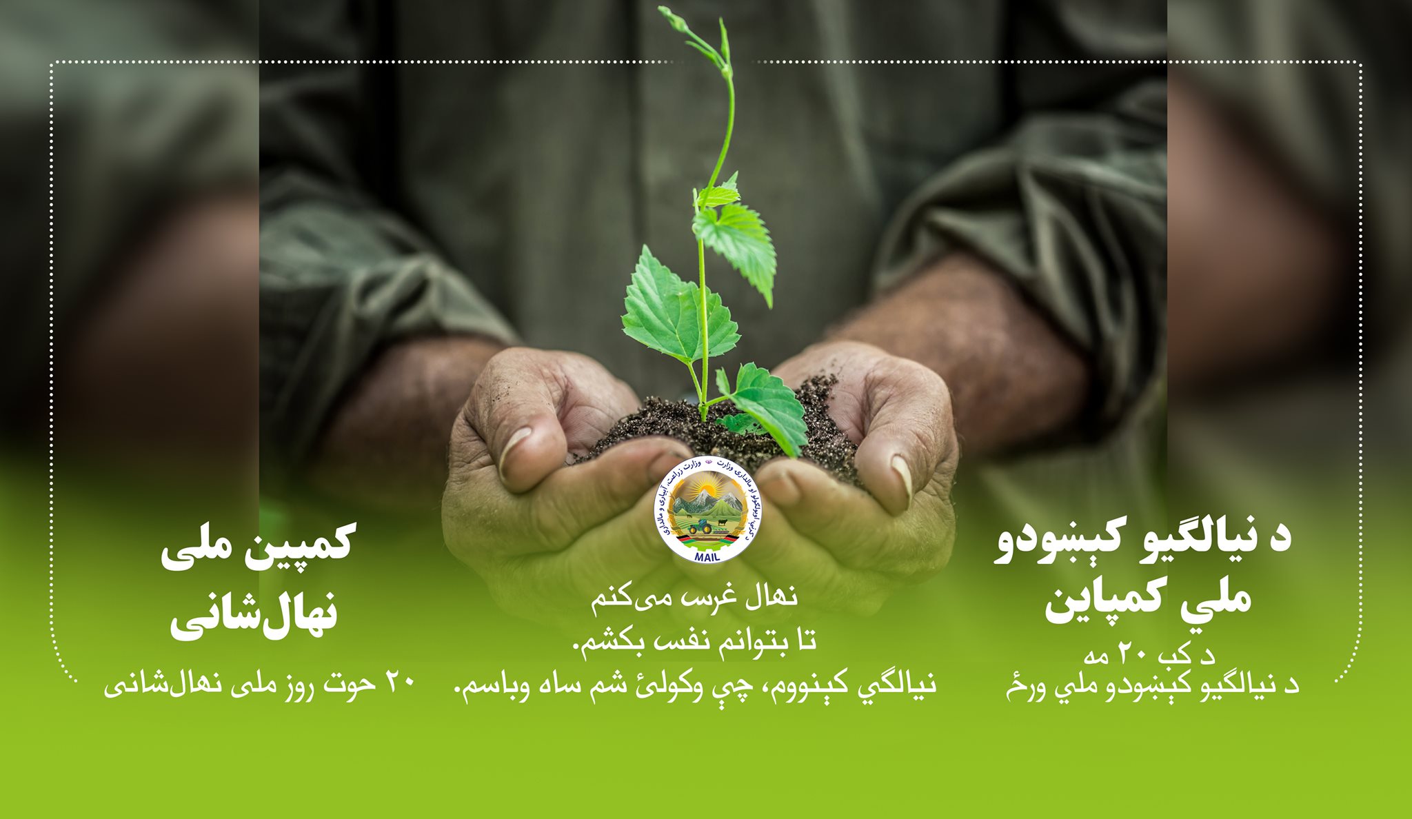 کمپاین ملی نهال‌شانی