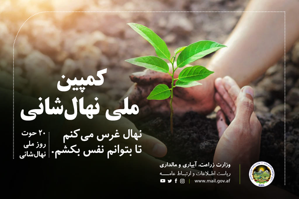 نهال غرس می‌کنم تا بتوانم نفس بکشم.