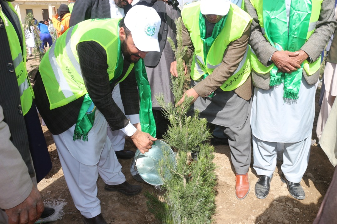پکتيا کې د نيالګيو کېنولو دکمپين پيل د يو افغان يو نيالګی تر شعار لاندې نږدې ۴۰۰ زره نيالګي اېښودل کېږي