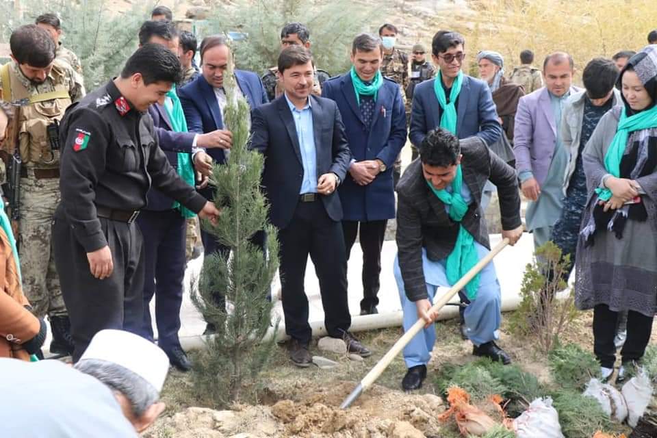 کمپاین نهال‌شانی با شعار صلح‌ و سرسبزی در دایکندی آغاز شد