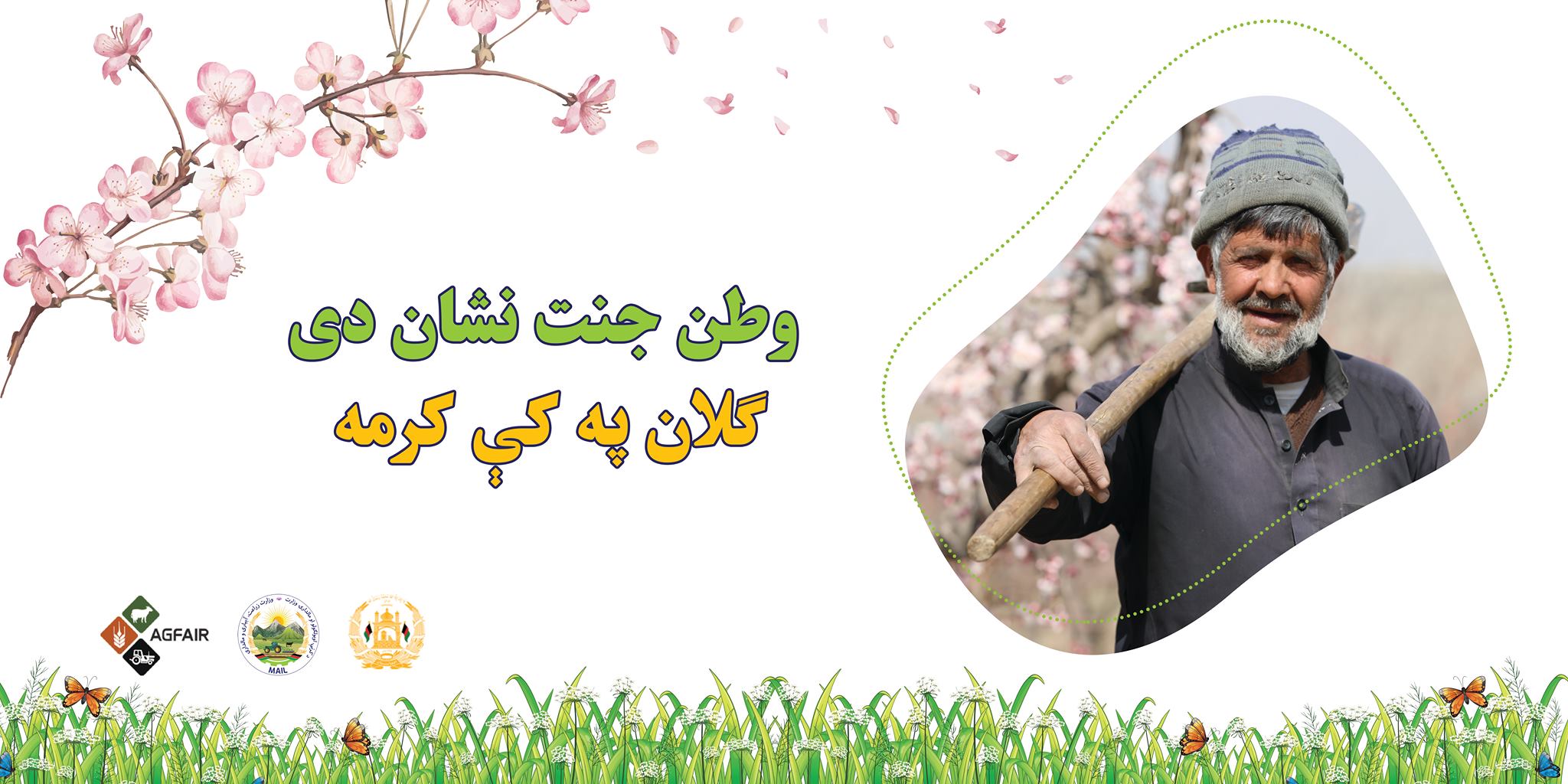 وطن جنت نشان دی گلان په کی کرمه