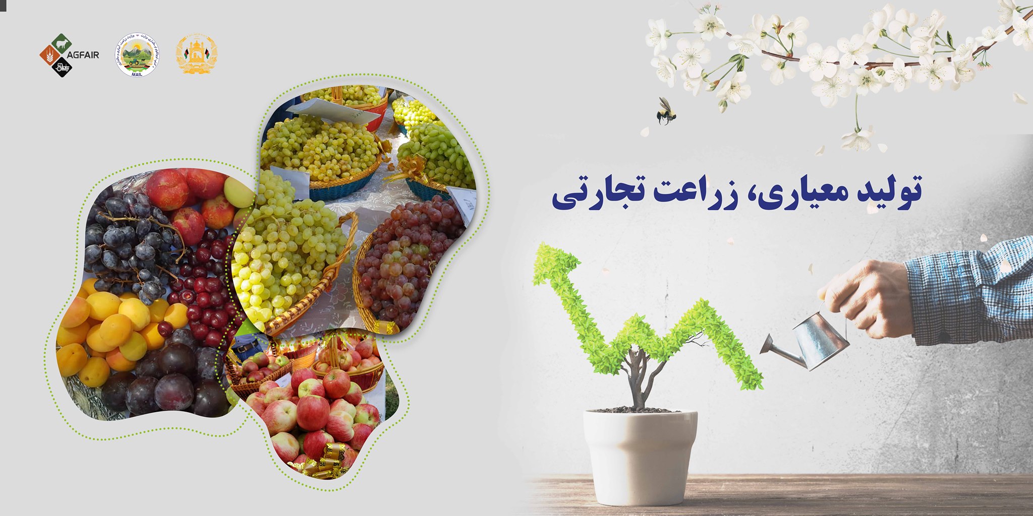میله دهقان و بیست‌وپنجمین نمایشگاه محصولات زراعتی  تولید معیاری، زراعت تجارتی  زمان ۲ تا ۵ حمل ۱۴۰۰   مکان بادام‌باغ، کابل 