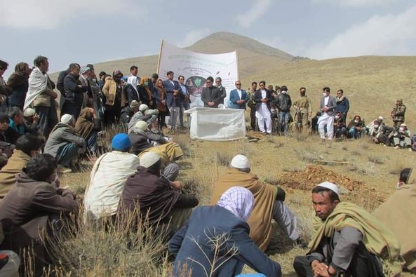 Aga Khan Foundation to plant 16,000 Saplings in two districts of Daikundi