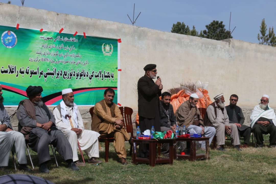 پکتیا کې د مېوو یوزر او ۴۰ جریبه نوي بڼونه جوړېږي