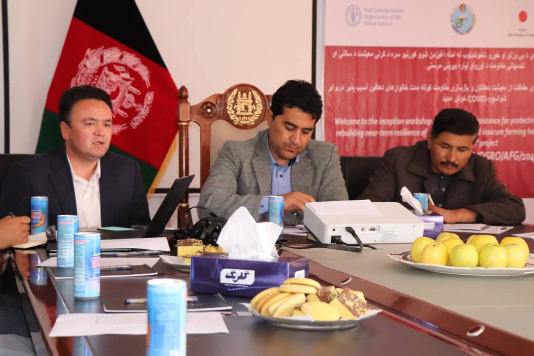 An Emergency Project launched for farmers’ protection in Daikundi