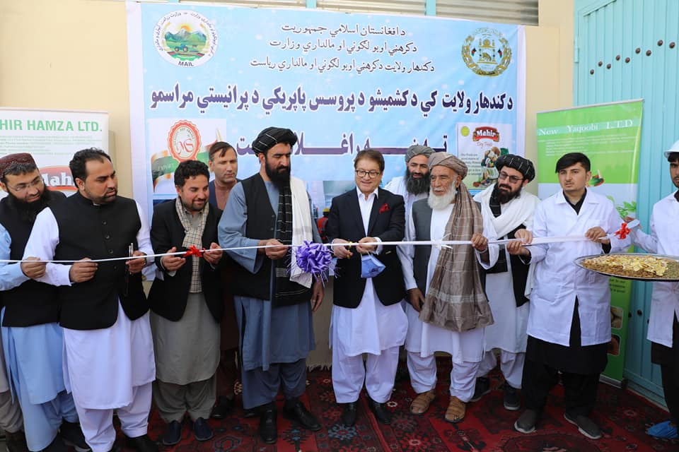 د کرنې وزیر له خوا د کندهار په صنعتي ښارګوټي کې د ممیزو د پروسس فابریکه پرانيستل شوه
