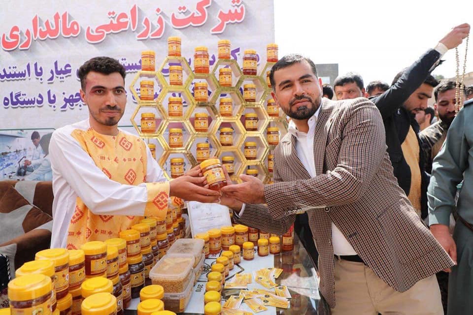 روز دهقان در هرات با حضور صدها تن از باشنده‌گان این ولایت گرامی داشته شد