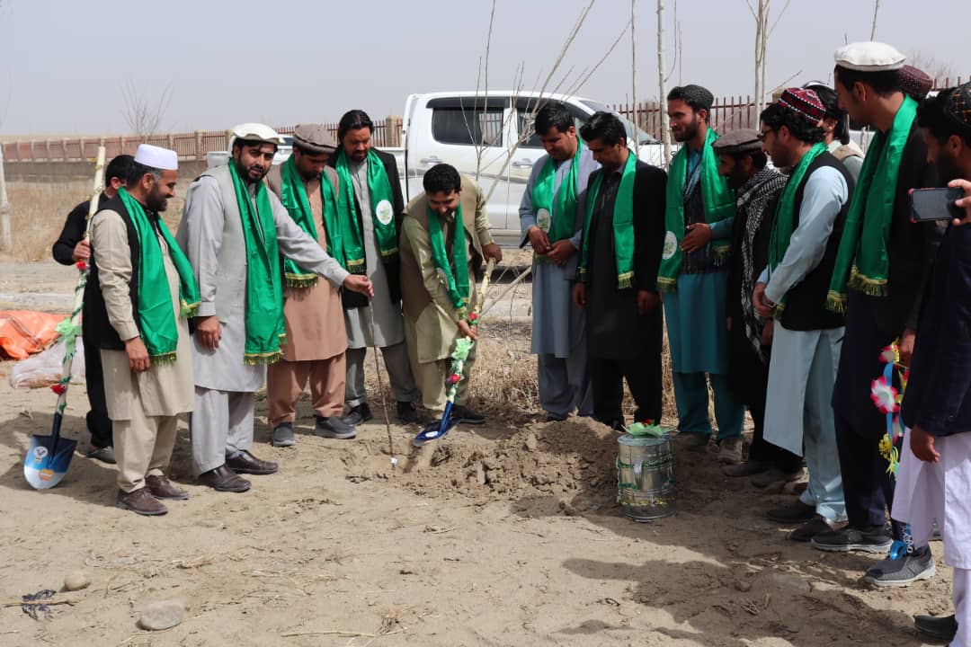 پکتیکا کې د نیالګیو کېنولو کمپین پیل شو