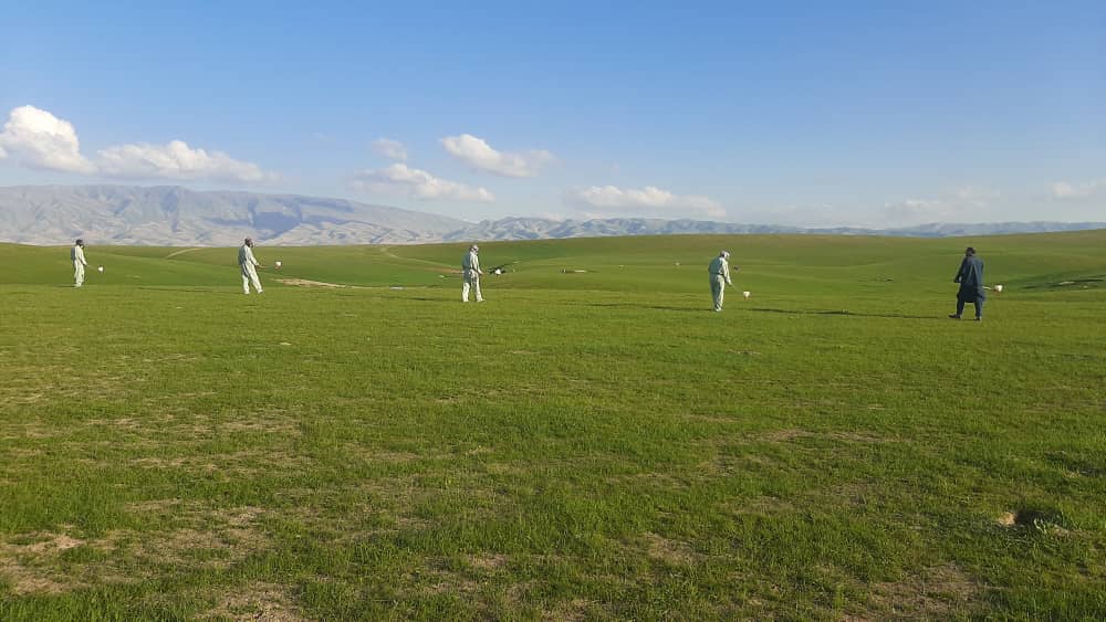 کمپاین مجادله علیه ملخ در کندز شروع شد