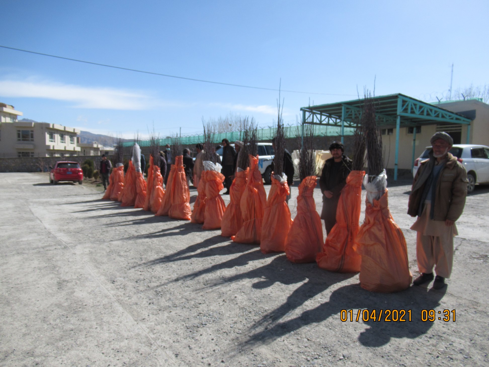 50 farmers of Bamyan Receive Ten thousands of Apple Saplings