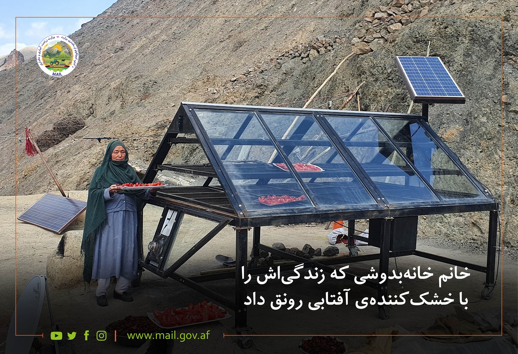 خانم خانهبدوشی که زندگیاش را با خشککنندهی آفتابی رونق داد