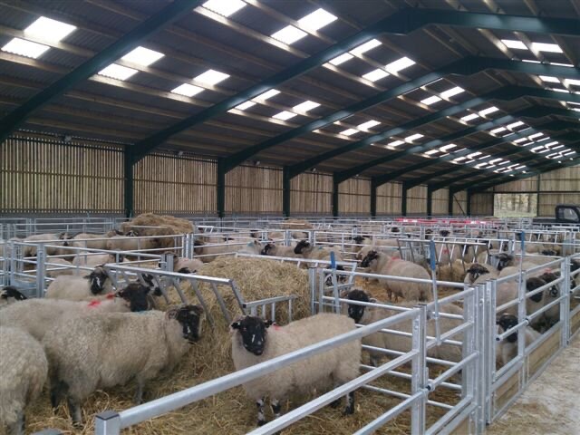 د مالدارۍ د پراختیا په پار هڅې؛ بغلان کې د مېږو ساتنې فارم جوړېږي