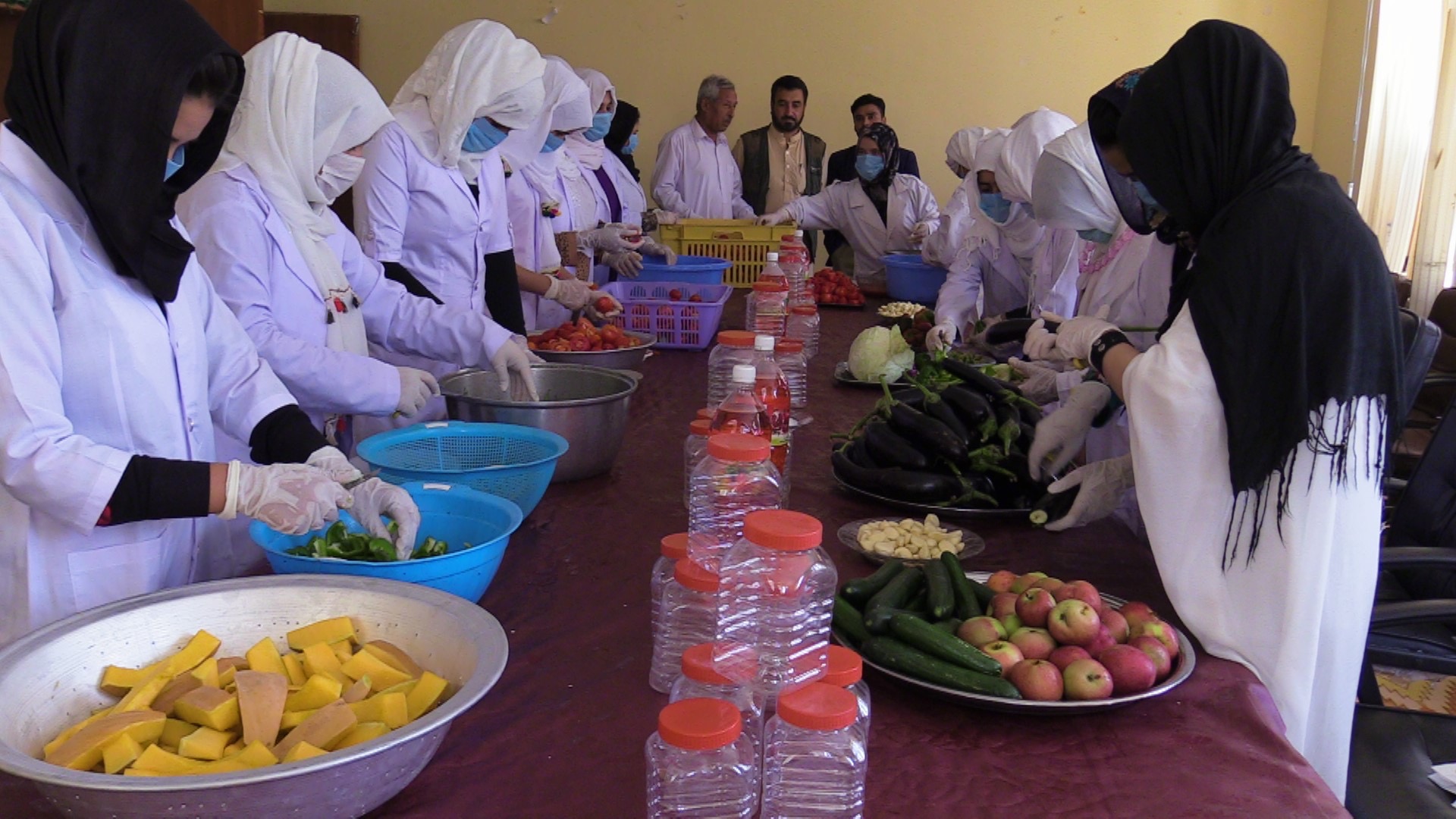 امسال نزدیک به چهارهزار خانم در بخش‌های مالداری و پروسس موادغذایی آموزش می‌بینند