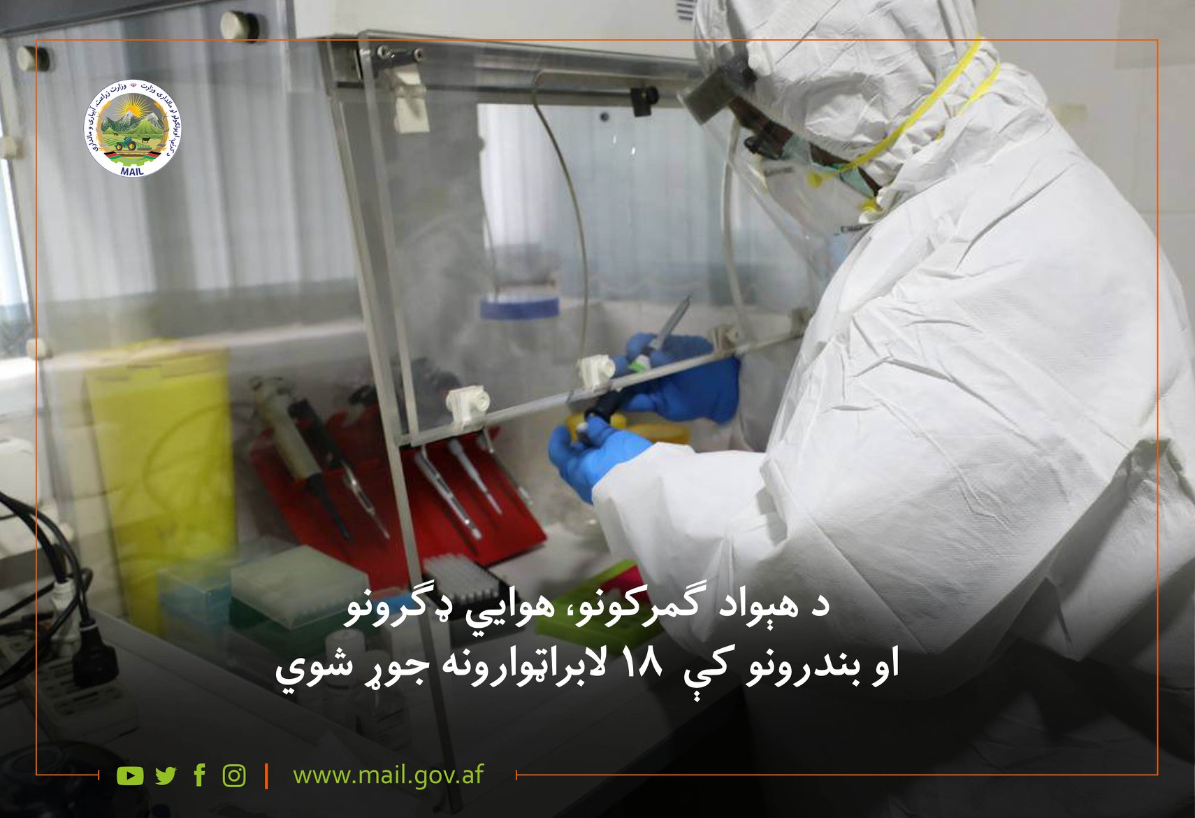 د هېواد ګمرکونو، هوایي ډګرونو او بندرونو کې ۱۸ لابراټوارونه جوړ شوي