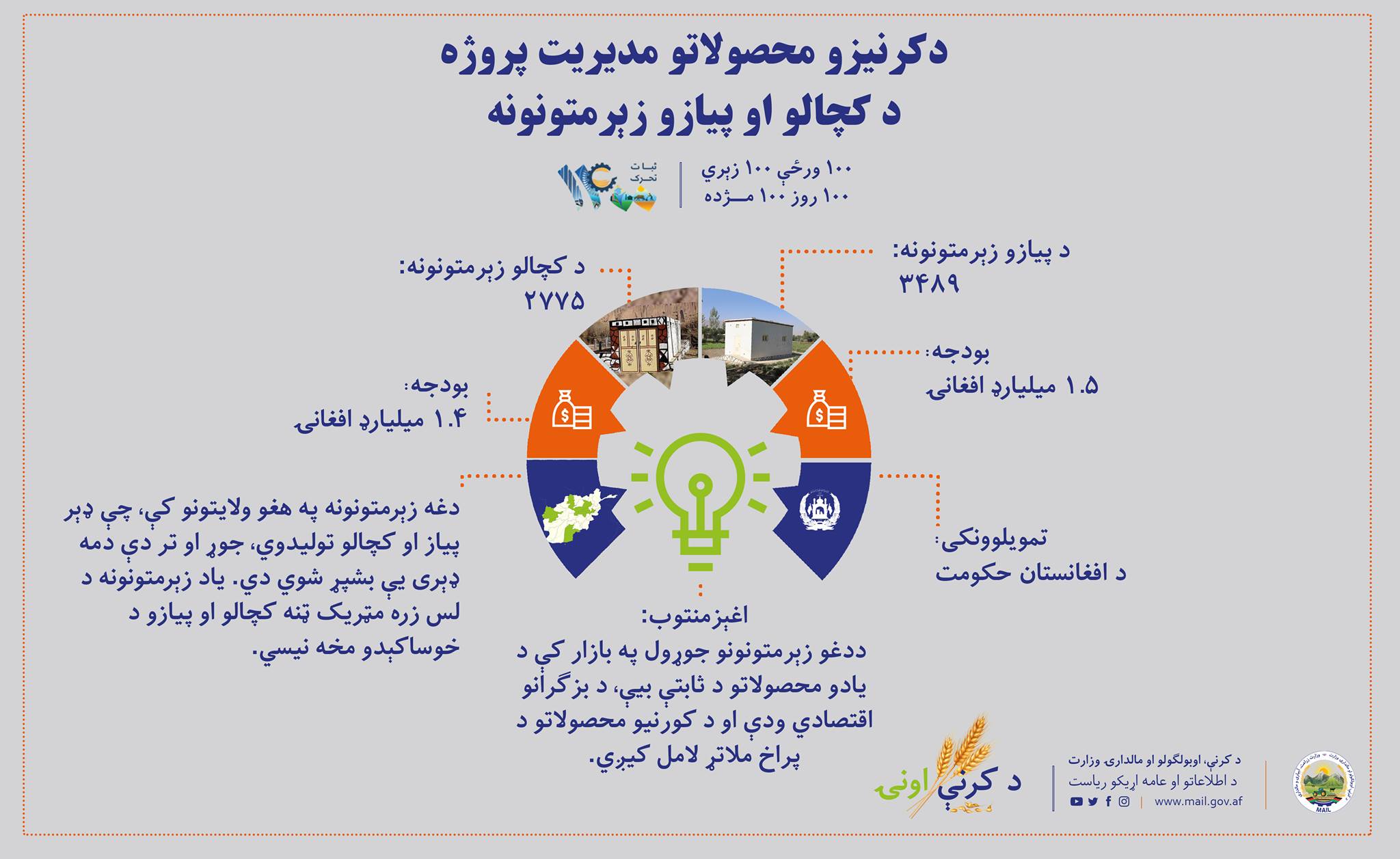 دکرنيزو محصولاتو مديريت پروژه د کچالو او پیازو زېرمتونونه 